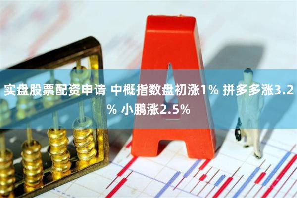 实盘股票配资申请 中概指数盘初涨1% 拼多多涨3.2% 小鹏